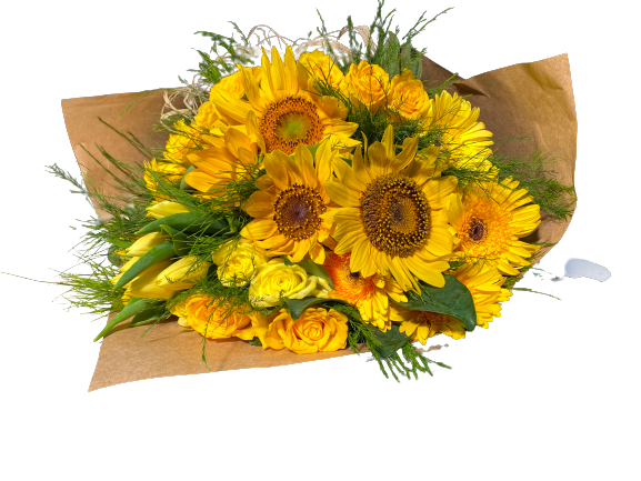 sun-flowers--c-325