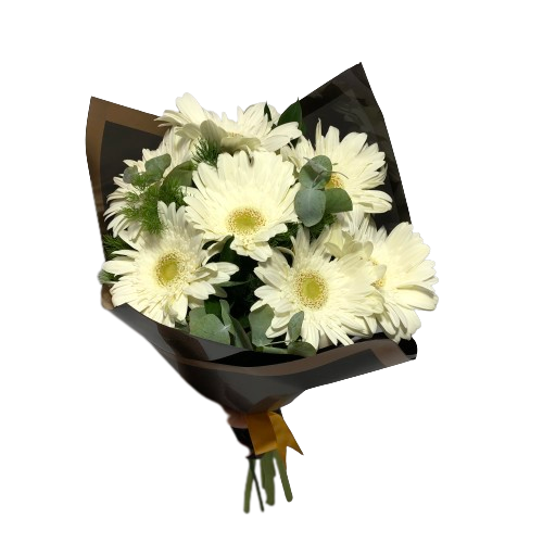 white-angel-b-1120